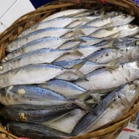 Ikan Rebus